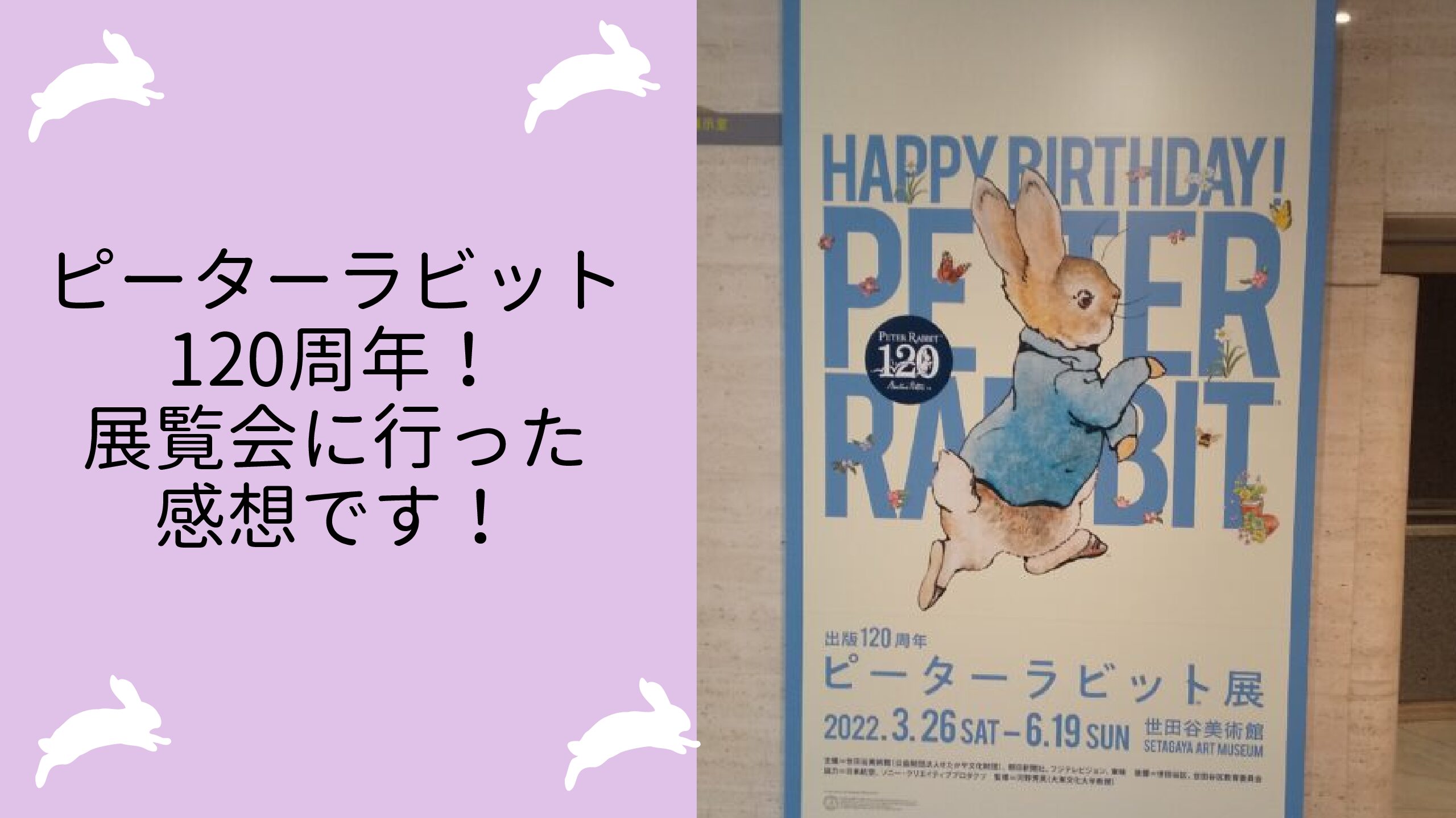 ピーターラビット1周年 世田谷美術館に行った感想です プッカログ